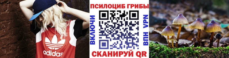 Галлюциногенные грибы прущие грибы  где купить   Волхов 
