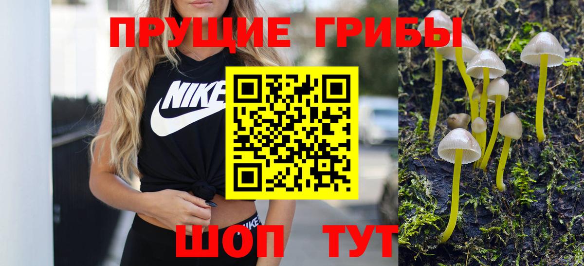 цена   Псилоцибиновые грибы прущие грибы  Вход с VPN  Волхов 