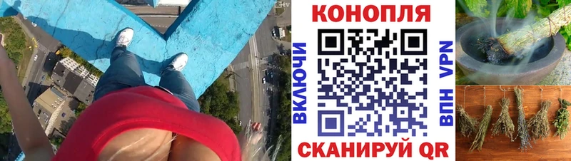 Канабис SATIVA & INDICA  Волхов 
